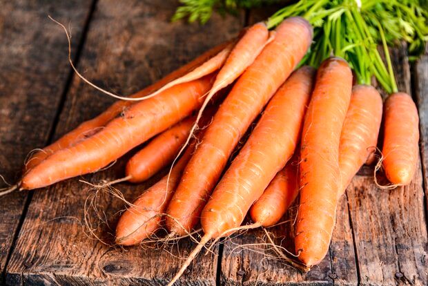 کاهش قیمت هویج به حوالی ۱۵ هزار تومان
