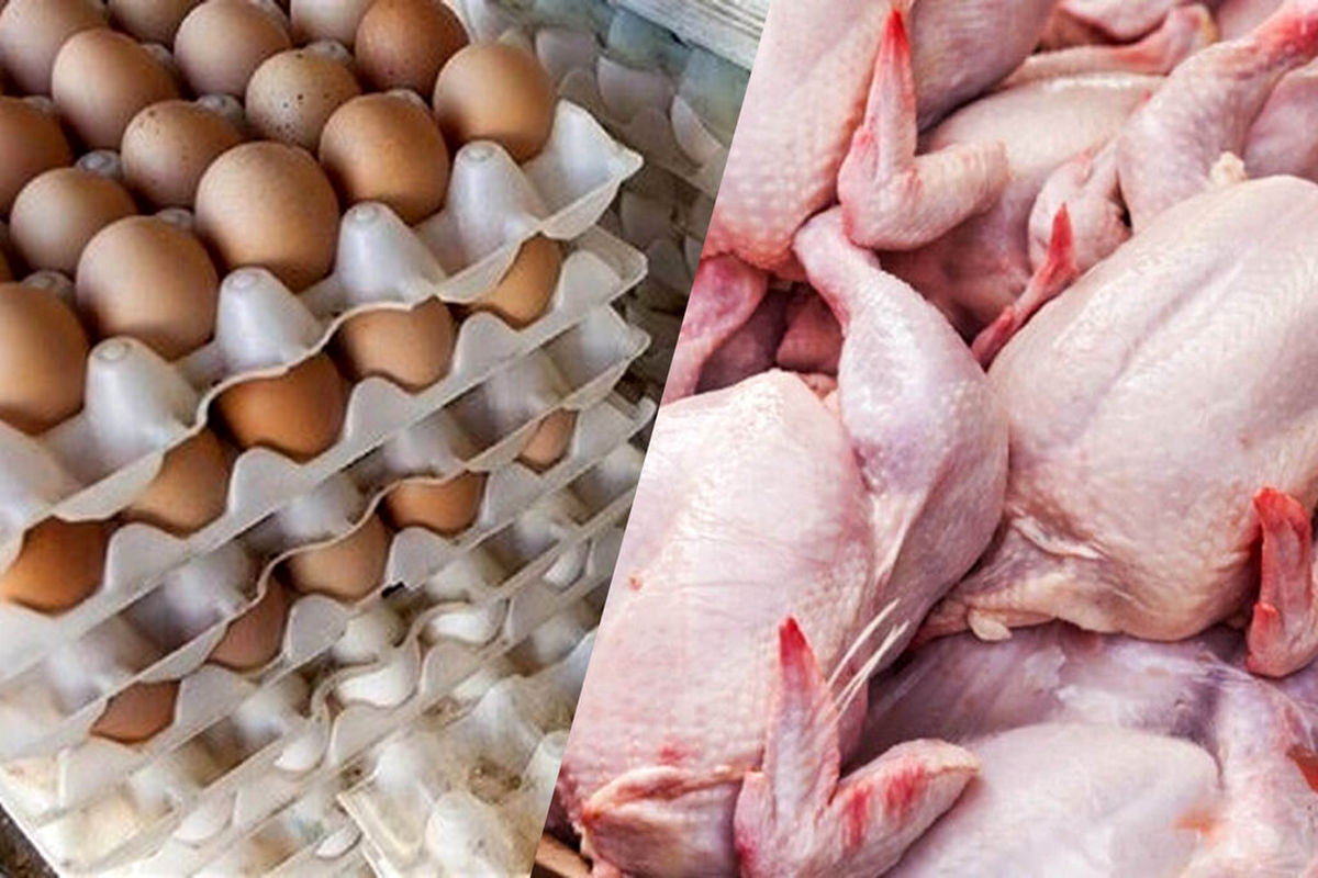 افزایش ناگهانی قیمت مرغ و تخم‌ مرغ در تبریز؛ شوک به بازار مواد غذایی